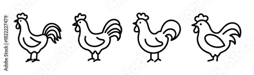 Stylized rooster vector illustration for farm and poultry graphics
