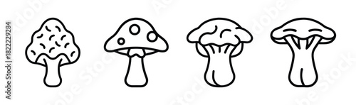 Maitake mushroom vector illustration scalable icon healthy food