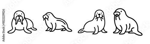 Cute walrus illustration vector art scalable ocean animal graphic