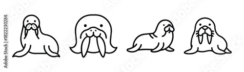 Cute walrus vector illustration for arctic wildlife projects