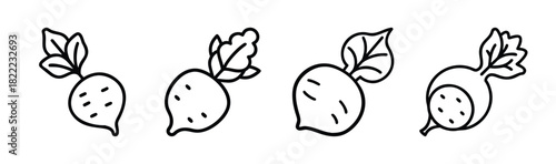 Vector illustration of a radish slice icon for healthy food and cooking