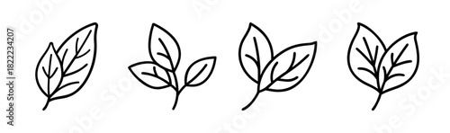 Simple green sage leaf vector illustration scalable graphic element