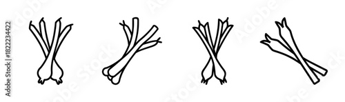 Stylized scallions vector illustration fresh green onion ingredient icon