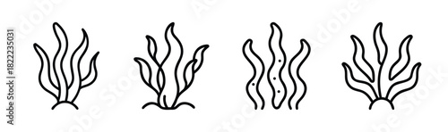 Vector illustration of delicate seaweed plant aquatic flora