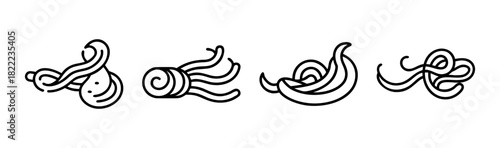 Spiralized zucchini vegetable vector illustration healthy food ingredient