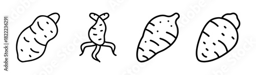 Simple vector illustration of a taro root vegetable