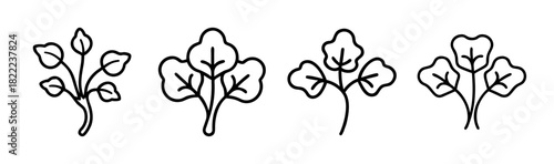 Fresh watercress leaf vector illustration healthy food green herb ingredient