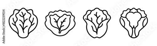 Vector illustration of a simple lettuce head icon