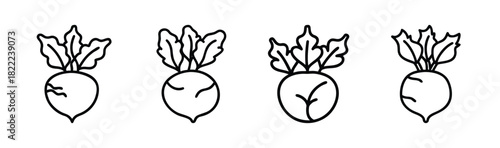 Kohlrabi vector illustration healthy vegetable food icon art