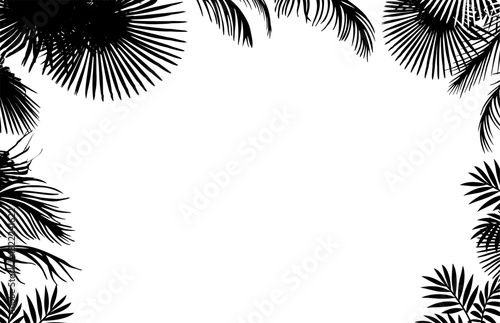 horizontal frame with palm leaves . Hand drawn. Not AI, vector illustration.