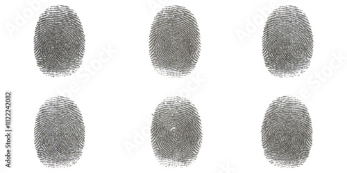 Multiple gray fingerprints on a white background for identity security