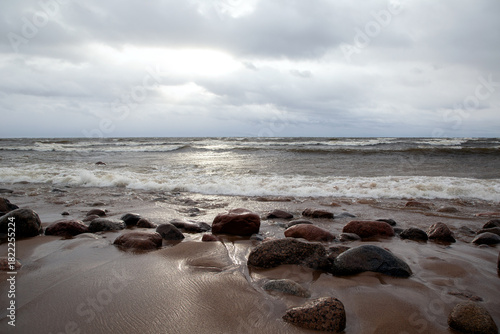 View of the coast in the strong wind of the Gulf of Finland in cloudy weather.