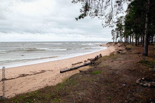 View of the coast in the strong wind of the Gulf of Finland in cloudy weather.