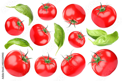 Fresh tomatoes and green basil leaves isolated on white, set