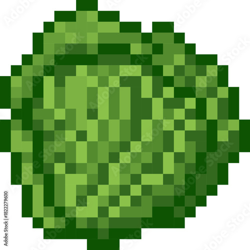 cauliflower isolate pixel illustration design