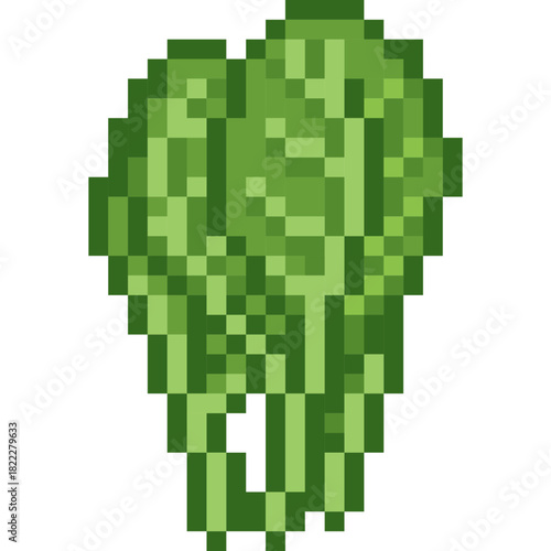 Kale isolate pixel illustration design