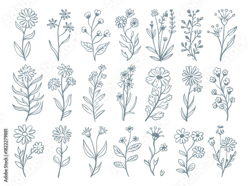 A collection of eighteen hand drawn floral illustrations on a white background