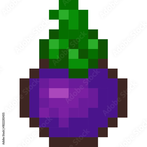 mangosteen isolate pixel illustration design