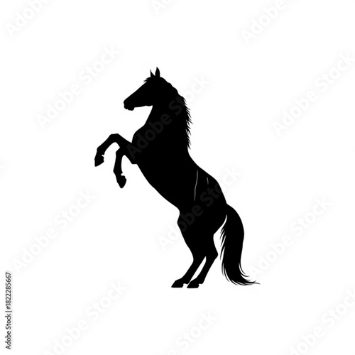 Silhouette of a rearing horse with flowing mane and tail standing on its hind legs in black color