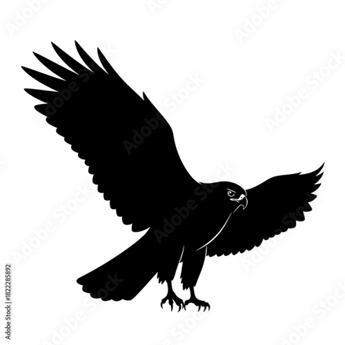 Silhouette of a bird of prey with outstretched wings and sharp talons preparing to land or attack prey