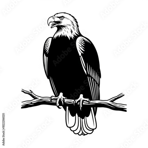 A majestic bald eagle perched on a branch in a striking black and white vector illustration design image