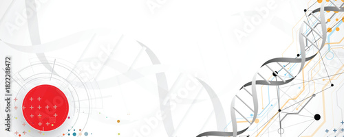 Abstract technology and science hexagon background, DNA strands, connected neural web