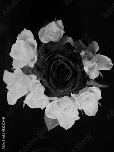black and white roses on black background