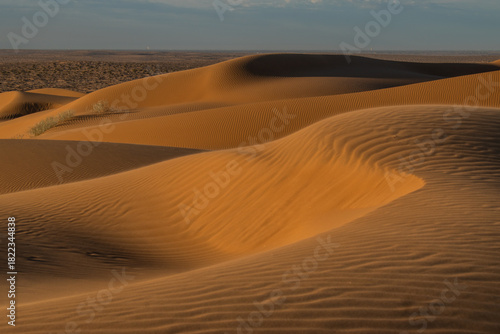 Fototapeta Naklejka Na Ścianę i Meble -  Sand dunes of sonora desert