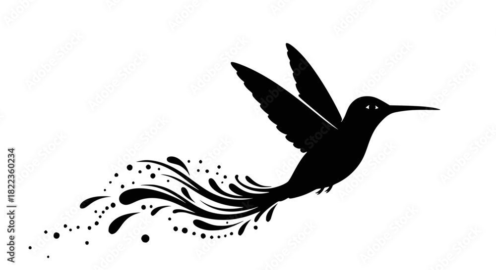 Fototapeta premium Vector silhouette of paradise hummingbird bird, isolated. Monochrome drawing. Transparent background SVG version.