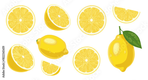 Fresh lemon illustration set featuring whole lemons, sliced pieces, citrus wedges, and juicy fruit elements for food design projects