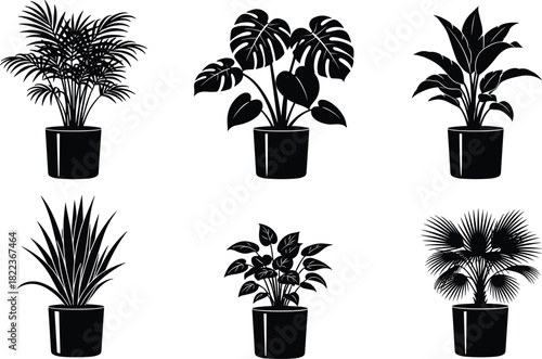Set of Six Black Silhouette Vector Illustrations of Popular Potted Houseplants, Including Monstera, Palm