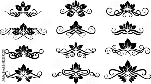 Set of decorative floral design elements with vintage scrolls and ornate borders

