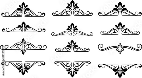 Set of decorative floral design elements with vintage scrolls and ornate borders

