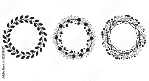 Set of Three Botanical Wreaths Vector Illustration Floral Circle Frames Leaf Design Collection