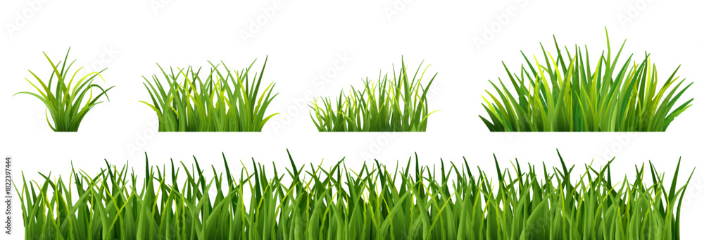 Fototapeta premium Fresh realistic long grass clusters in various shapes. Green lawn border for spring and summer landscape scenes, nature decor and eco-friendly illustration