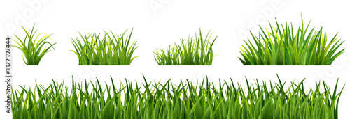 Fresh realistic long grass clusters in various shapes. Green lawn border for spring and summer landscape scenes, nature decor and eco-friendly illustration