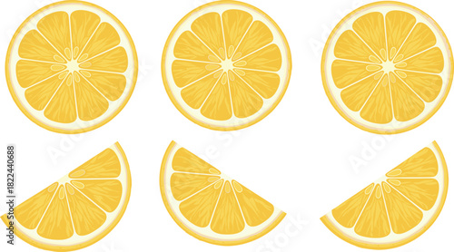 Fresh lemon slice vector set featuring bright yellow citrus segments, juicy detailed textures, and clean modern fruit illustration