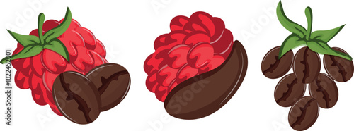 set of themed icons on the theme of different coffee flavors, namely a combination of coffee and ripe pink raspberry fruits with a green tail