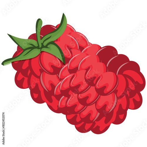 vector icon of ripe raspberry fruits with a green tail, for thematic printing, social networks or web design