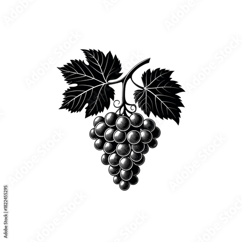 Grapes silhouette Logo vector line art logo design