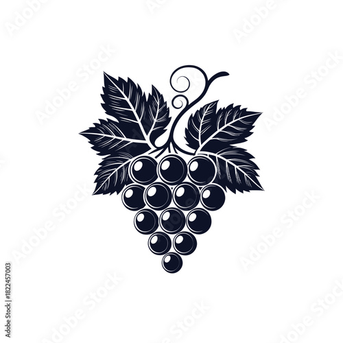 Grapes silhouette Logo vector line art logo design