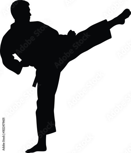 Black Silhouette Vector of a Male Karate or Taekwondo Athlete in a Gi Performing a Powerful High Side Kick during Training or Competition Representing Sport Fitness and Discipline
