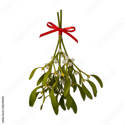 A single sprig of mistletoe with green leaves, waxy white berries, and a red ribbon, hanging centered. Ideal for Christmas cards, holiday marketing, website banners, or festive decor.