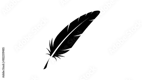 Vector illustration of black silhouette of a single feather isolated on transparent background for design element