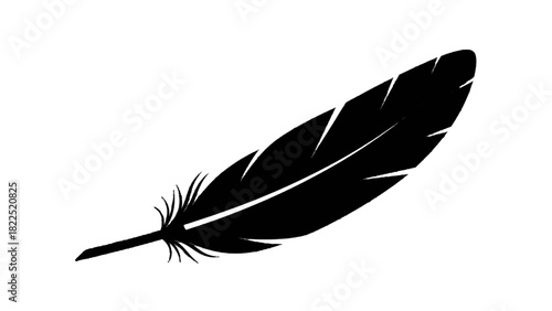 Vector illustration of black silhouette of a single bird feather isolated on transparent background