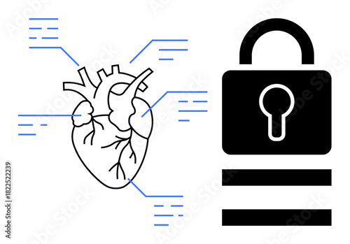 Anatomical heart linked to data points beside padlock with keyhole. Ideal for healthcare, data security, privacy, cyber safety, biometric authentication, confidentiality, simple flat metaphor