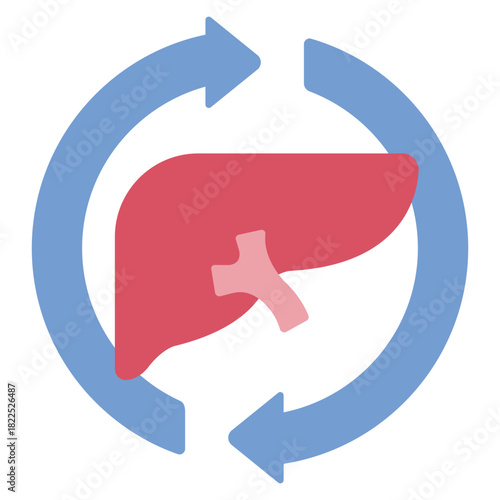 liver detox flat icon. organ cleanse. body support. health care