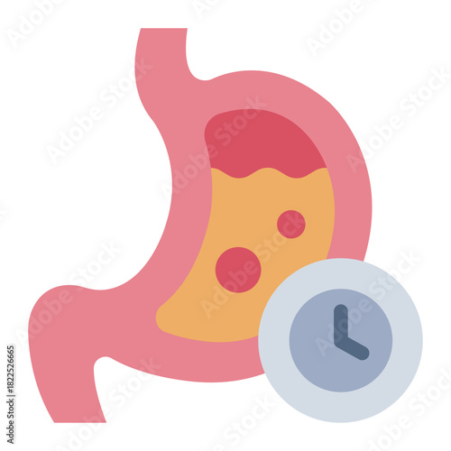 metabolic clock flat icon. body timing. digest cycle. Biology healthcare