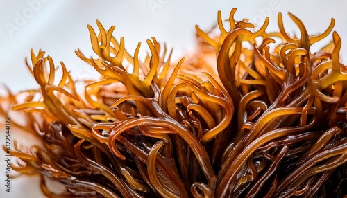 macro view of fucus seaweed golden brown marine algae with undulating texture organic plant rich in vitamins minerals thrives in saltwater serves as healthy edible ingredient for gourmet