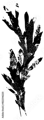 Plant illustration flourishes in botanical study